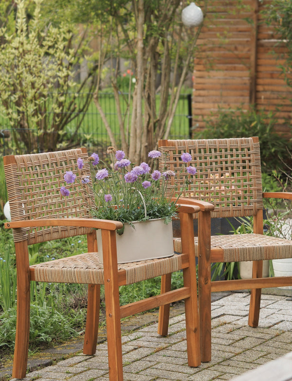 MACEIO Set of 2 Acacia and Rope Garden Chairs